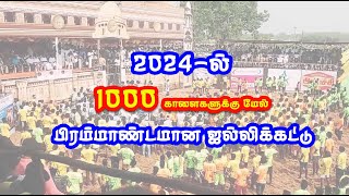 2024 இல் பிரம்மாண்டமான ஜல்லிக்கட்டு 1000 காளைகளுக்கு மேல் New jallikattu [upl. by Horacio485]