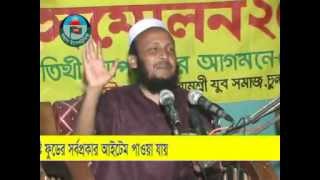 MAULANA SHIRAJUL ISLAM MIRPURI PART 02 About Pordar Bidan2012 [upl. by Granger288]