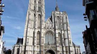 kathedraal Antwerpen [upl. by Nomra776]