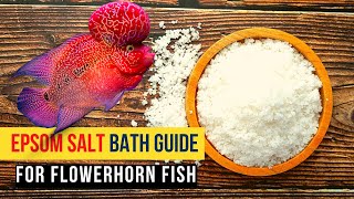 Epsom Salt Bath Guide for Flowerhorn Fish  must watch [upl. by Noiz]