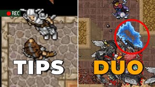 TIBIA  5 TIPS PARA CAZAR EN DÚO [upl. by Pantheas]