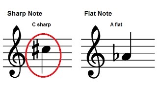 How To Read Music  Accidentals  Sharps and Flats on the Staff  Piano Lesson 12 [upl. by Mapel]