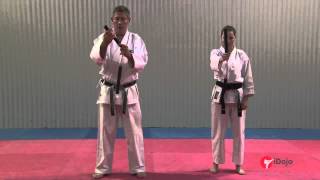 Nunchaku Basic Movements Part 22 [upl. by Armond]