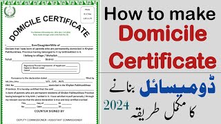 Domicile banane ka tarika 2024 how to make Domicile certificate in Pakistan domicile kaise banaye [upl. by Lemaceon908]