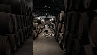 Things To Do In Porto Portugal  Visit a Port Wine Cellar porto shorts travel [upl. by Kendrah952]