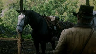 This Is Why Micah’s Horse Baylock Looks So FAMILIAR  Red Dead Redemption 2 [upl. by Retswerb]