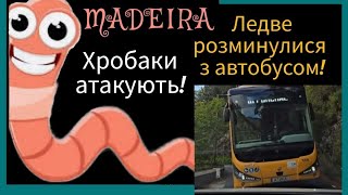 ●6 MADEIRAЕфект МонроДень 3 Ледве розминулися з автобусом Відвідали два оглядових майданчика [upl. by Auot112]