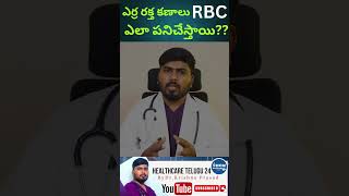 రక్తహీనత  Anaemia in Telugu  RBC function  anaemia rbc redbloodcells health healthtips [upl. by Inoue]