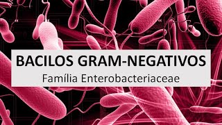 Microbiologia Médica Introdução aos Bacilos Gram Negativos Família Enterobacteriaceae [upl. by Lorene199]