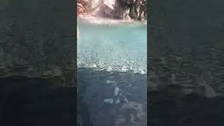 🌊Guhantara resort water falls Bangaloreresort waterfall water shorts bangalore holiday happy [upl. by Spiegel]