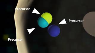 How does Immunocal Work [upl. by Analart]