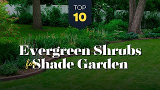 TOP 10 Evergreen Shrubs for Shade 🌿🌼 to Grow for Year Round in Shady Garden 🍃 [upl. by Micheal]