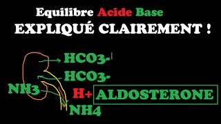 🔴 EQUILIBRE ACIDEBASE EXPLIQUÉ TRÈS CLAIREMENT   DR ASTUCE [upl. by Llebanna]