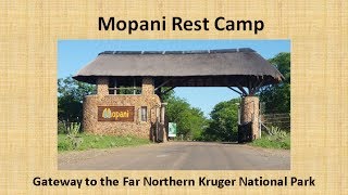 Mopani Rest Camp Kruger National Park South Africa [upl. by Goldia224]