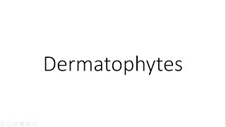 Dermatophytes  Microbiology [upl. by Spencer840]