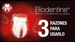 3 Razones para usar Biodentine [upl. by Naasah]