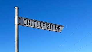 Whyalla Weekends Cuttlefish 2022 edition [upl. by Sudaorb]