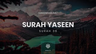 Surah Yaseen  QariTareqMohammed  سورة يس  القارئ طارق محمد Quran recitation [upl. by Orfield553]