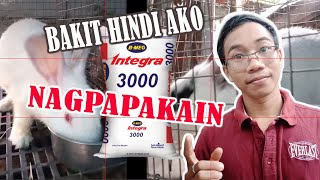 BEGINNERS GUIDE PAGPILI NG FEEDS NA IPAPAKAIN SA ALAGANG MGA RABBITS [upl. by Yhtorod705]