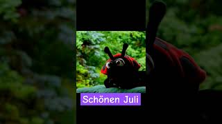 Schönen Juli ☀️⛅️ Gedicht vom Käfer 🐞 und Freya Glücksweg Short schönenJuli Juli Marienkäfer [upl. by Nedmac776]