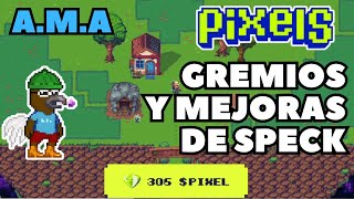 PIXELS RESUMEN AMA 28 DE FEBRERO [upl. by Iveel]