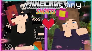 Minecraft Jenny MOD Gameplay 1122 Ellie Mod CENSORED  Ellie jenny shorts Mix [upl. by Vladimar]