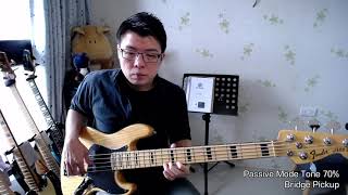 Bartolini Classic Dual Coil Jazz Pickups 57CBJD1 Fender American Deluxe Jazz Bass Upgrade [upl. by Ahsenot289]