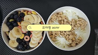 asmr 요아정 이팅사운드 요거트아이스크림의정석 [upl. by Hillie150]