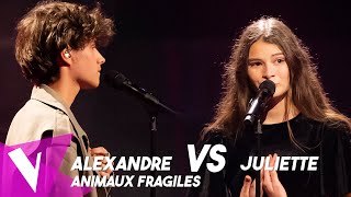 Ycare amp Zaz  Animaux fragiles ● Alexandre amp Juliette  Duels  The Voice Belgique Saison 11 [upl. by Berte245]