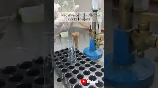 catalase test biochemical biologymicrobiology science tjbiologist modi lakshadweep trending [upl. by Almat]