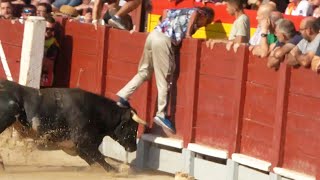 😱HOMBRE EN APUROS CON EL TORO ENCIERRO CHINCHON MADRID JULIO 2024 [upl. by Elay606]