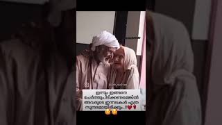 ഇന്നും ഇങ്ങനെ ചേർത്ത് പിടിക്കണ മെങ്കിൽ അവരുടെ ഇന്നലകൾ എത്ര സുന്ദര മായിരിക്കും ❤️❤️❤️ [upl. by Nylssej]