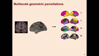 OHBM 2024  Symposium  James Pang  Geometric principles governing regional organization of the … [upl. by Annais266]