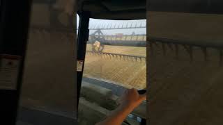 Reel is so high up in the air on the draper head caseih harvest [upl. by Chamberlin738]