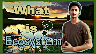 पारितंत्र या पारिस्थितिक तंत्र  ecosystem  types of ecosystem  paritantra  paristhitiki tantra [upl. by Luanni]