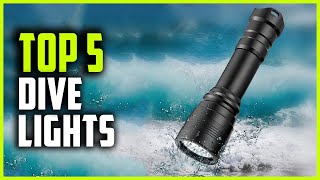 Best Dive Lights 2024  Top 5 Scuba Dive Lights [upl. by Oirifrop287]