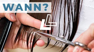 Lange Haare Spitzen schneiden ● Wann amp Warum [upl. by Lanahtan921]