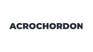 📢 How to pronounce ACROCHORDON [upl. by Kerin]