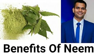 Neem benefits use doses and how to use it [upl. by Aloisius712]