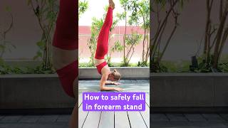 The Ultimate Forearm Stand Safety Guide [upl. by Anatak]