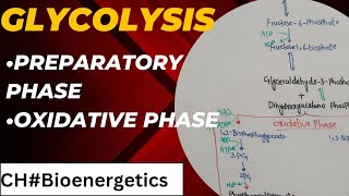 Glycolysis class 11  Cellular Respiration in plants [upl. by Llertnac]