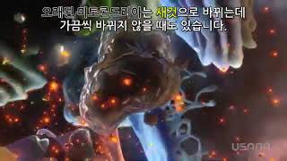 인셀리전스 Incelligence 영양 과학의 새로운 테크놀로지 [upl. by Ioyal150]