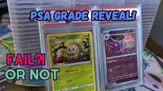 PROFITING off of Commons First PSA Submission Return on YT pokemon cards profit investing [upl. by Nytsirhc]