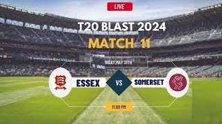 T20 Blast Live  Live Somerset Vs Essex Live  T20 Blast Live  SOM vs ESS Live [upl. by Sayette]