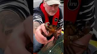 Creel fishing on an inflatable boat SIb Loch Fyne My Dingy and Me [upl. by Guidotti]