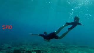 dolphin reef et coral beach snorkeling EILAT ISRAEL [upl. by Ryann]