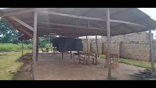 Pupils and Teachers abandoned classes over snake invasion at AtwimaMpasatia [upl. by Munt]