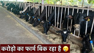 करोड़ो का फार्म बिक रहा है 🥲farm band ho raha hai dairyfarmgujaratgujrat hf cow farm anand [upl. by Ettereve]