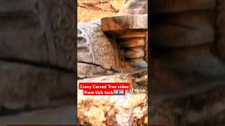 mysterious Ancient Crazy carved oak Tree history who carved it and when [upl. by Metzgar394]