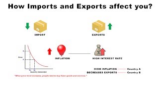 How Imports and Exports Affect You  Economics [upl. by Airan]